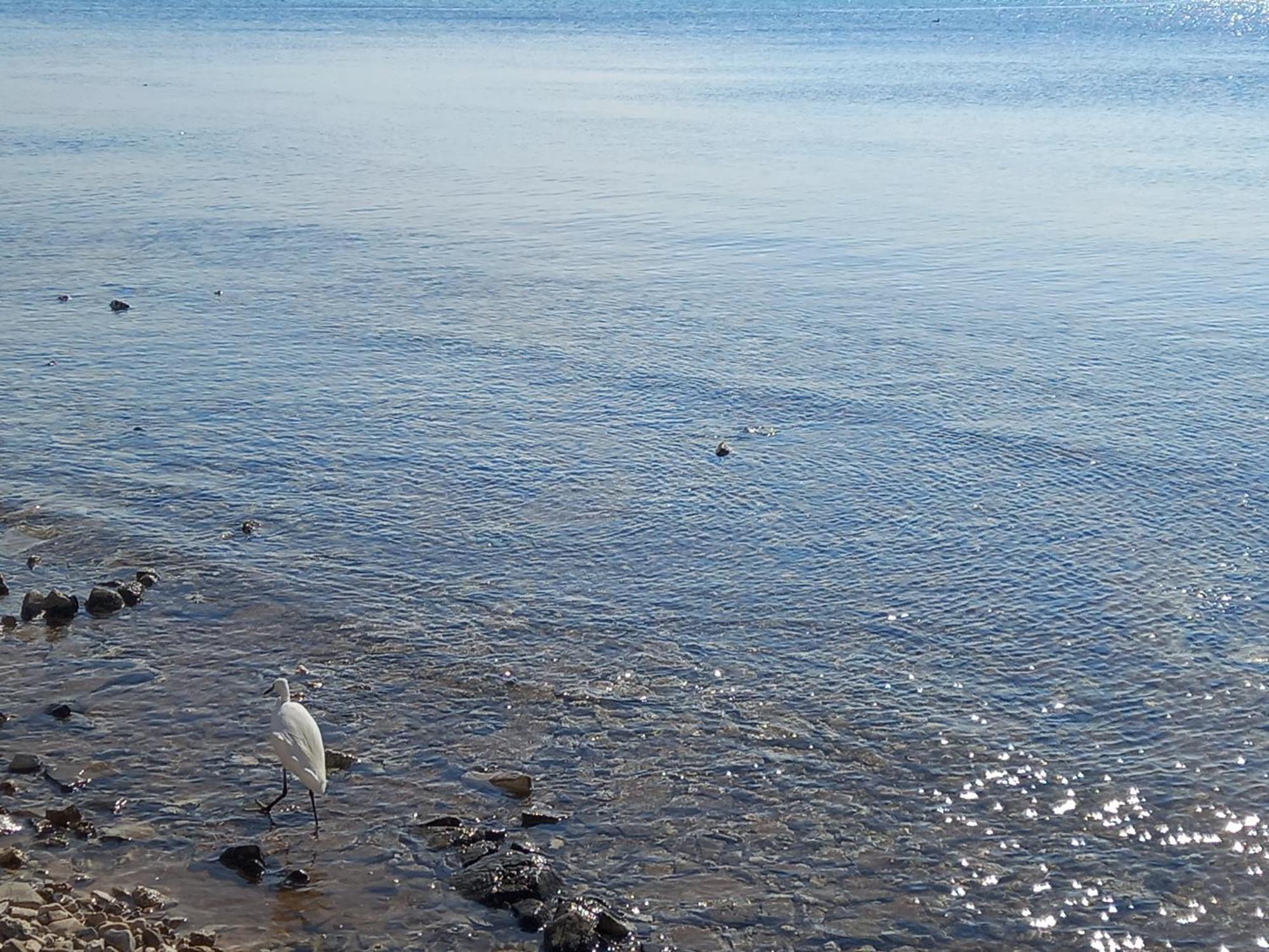 Le Tre Coccinelle Διαμέρισμα Porto Cesareo Εξωτερικό φωτογραφία